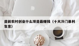 目前农村创业什么项目最赚钱（十大冷门暴利生意）