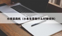 小项目商机（小本生意做什么好赚钱快）