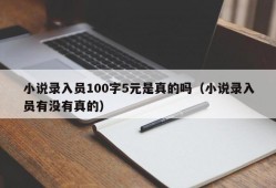 小说录入员100字5元是真的吗（小说录入员有没有真的）