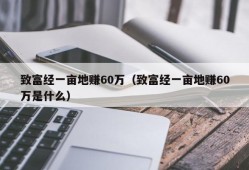 致富经一亩地赚60万（致富经一亩地赚60万是什么）