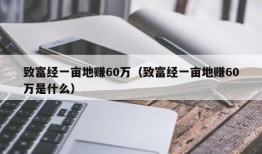 致富经一亩地赚60万（致富经一亩地赚60万是什么）