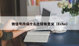 微信号改成什么比较有意义（Echo）