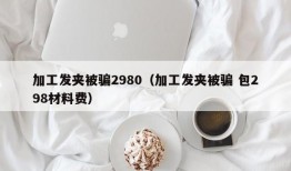 加工发夹被骗2980（加工发夹被骗 包298材料费）