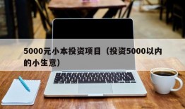 5000元小本投资项目（投资5000以内的小生意）