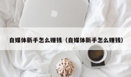 自媒体新手怎么赚钱（自媒体新手怎么赚钱）