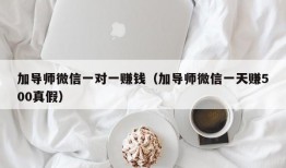 加导师微信一对一赚钱（加导师微信一天赚500真假）