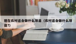 现在农村适合做什么项目（农村适合做什么项目?）