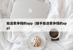 拍违章挣钱的app（随手拍违章挣钱的app）