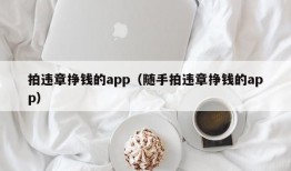 拍违章挣钱的app（随手拍违章挣钱的app）