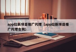 app拉新项目推广代理（app拉新项目推广代理合同）