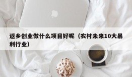 返乡创业做什么项目好呢（农村未来10大暴利行业）