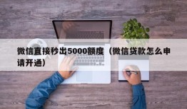 微信直接秒出5000额度（微信贷款怎么申请开通）