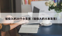 低投入的20个小生意（低投入的小本生意）