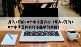 月入2万的10个小生意农村（月入2万的10个小生意和农村不起眼的商机）