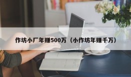 作坊小厂年赚500万（小作坊年赚千万）