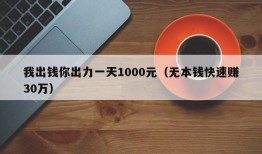 我出钱你出力一天1000元（无本钱快速赚30万）