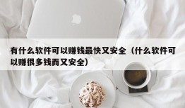 有什么软件可以赚钱最快又安全（什么软件可以赚很多钱而又安全）