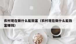 农村现在做什么能致富（农村现在做什么能致富赚钱）