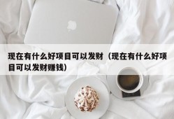 现在有什么好项目可以发财（现在有什么好项目可以发财赚钱）