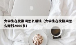 大学生在校期间怎么赚钱（大学生在校期间怎么赚钱2000多）