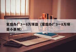 家庭办厂3一8万项目（家庭办厂3一8万项目小县城）