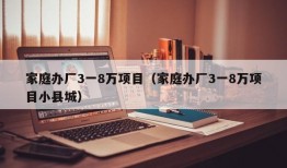 家庭办厂3一8万项目（家庭办厂3一8万项目小县城）