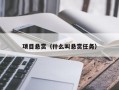 项目悬赏（什么叫悬赏任务）