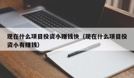 现在什么项目投资小赚钱快（现在什么项目投资小有赚钱）