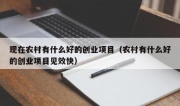 现在农村有什么好的创业项目（农村有什么好的创业项目见效快）