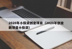 2020年小投资创业项目（2020年创业新项目小投资）